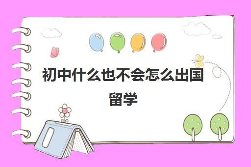 初中什么也不会怎么出国留学(学生出国留学需要哪些条件)