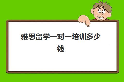 雅思留学一对一培训多少钱(雅思培训一对一很贵吗)