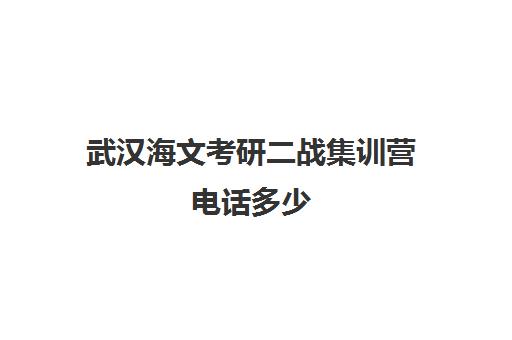 武汉海文考研二战集训营电话多少（武汉口碑最好的考研机构）