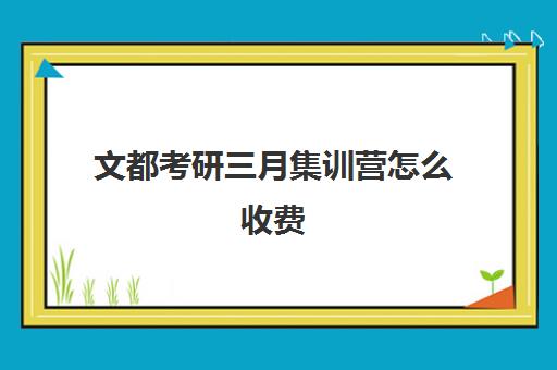 文都考研三月集训营怎么收费（文都集训营四天三夜怎样）