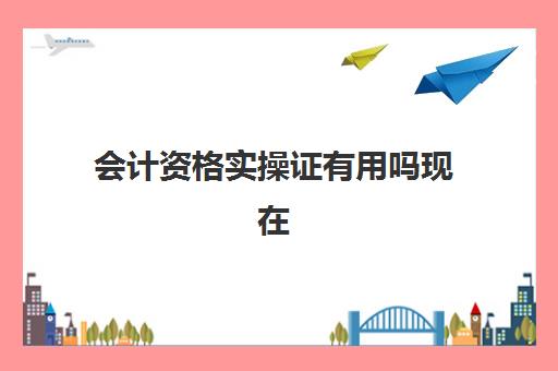 会计资格实操证有用吗现在(会计实账培训有必要去吗)