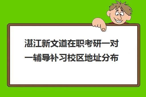 湛江新文道在职考研一对一辅导补习校区地址分布