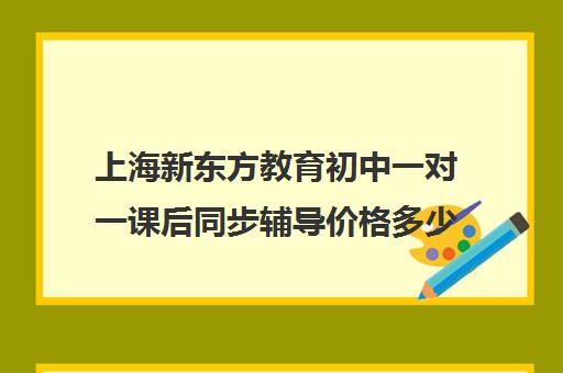 上海新东方教育初中一对一课后同步辅导价格多少钱(语文一对一的课应该怎么上)