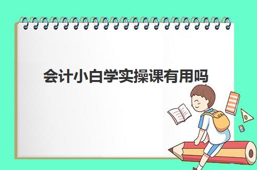 会计小白学实操课有用吗(会计小白刚开始该干什么)