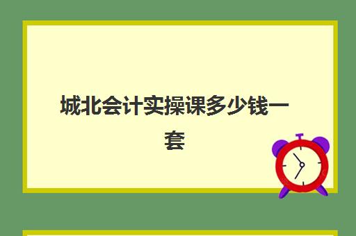 城北会计实操课多少钱一套(之了课堂初级会计无忧班怎么样)