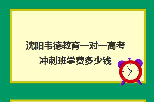 沈阳韦德教育一对一高考冲刺班学费多少钱（高三冲刺班收费标准）