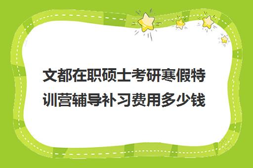 文都在职硕士考研寒假特训营辅导补习费用多少钱