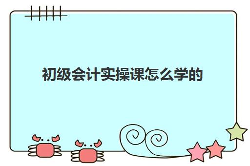 初级会计实操课怎么学的(会计初级如何自学)