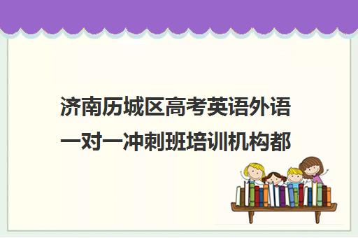 济南历城区高考英语外语一对一冲刺班培训机构都有哪些(高考英语一对一辅导班)