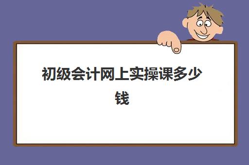 初级会计网上实操课多少钱(初级会计网课好还是面授好)