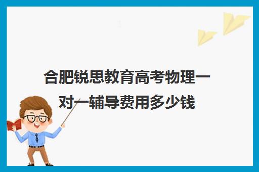 合肥锐思教育高考物理一对一辅导费用多少钱(正规高中补课机构)