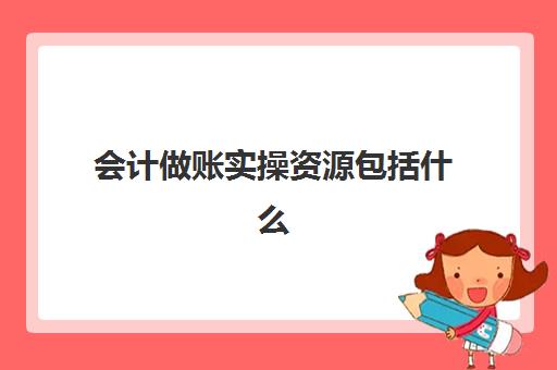 会计做账实操资源包括什么(会计信息加工处理过程包括哪些)