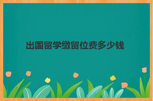 出国留学缴留位费多少钱(留学签证费用一览表)