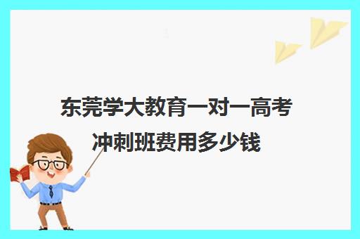 东莞学大教育一对一高考冲刺班费用多少钱（东莞提升学历教育机构）