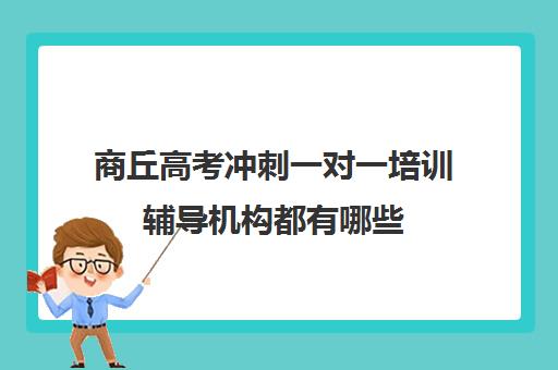 商丘高考冲刺一对一培训辅导机构都有哪些(商丘高中一对一补课的价格)