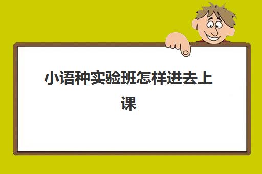 小语种实验班怎样进去上课(小语种怎么学)