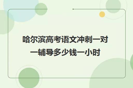 哈尔滨高考语文冲刺一对一辅导多少钱一小时(哈尔滨一对一辅导排名)