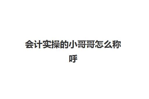 会计实操的小哥哥怎么称呼