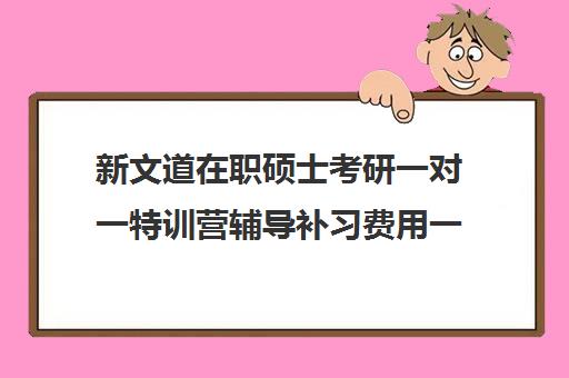 新文道在职硕士考研一对一特训营辅导补习费用一般多少钱