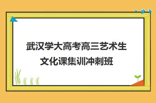 武汉学大高考高三艺术生文化课集训冲刺班(武汉高考冲刺班哪家好)