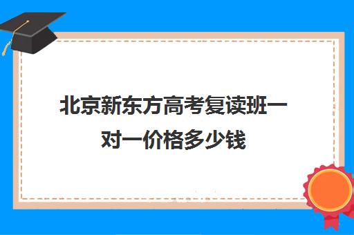 北京新东方高考复读班一对一价格多少钱（新东方全日制高考班收费）