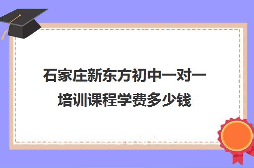 石家庄新东方初中一对一培训课程学费多少钱（sat一对一培训价格）