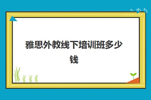 雅思外教线下培训班多少钱(雅思辅导班收费价目表)