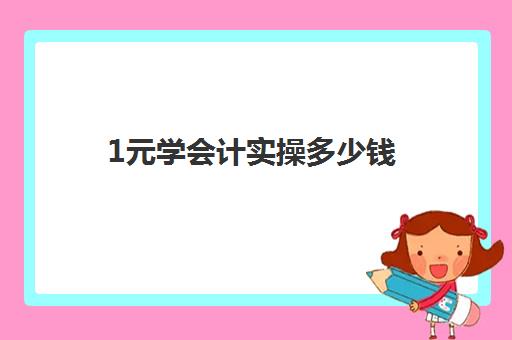 1元学会计实操多少钱(初学会计零基础入门视频教程)