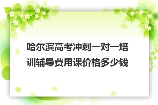 哈尔滨高考冲刺一对一培训辅导费用课价格多少钱(哈尔滨高考培训学校)