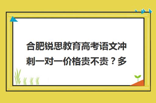 合肥锐思教育高考语文冲刺一对一价格贵不贵？多少钱一年（合肥及第高考冲刺班怎么样）