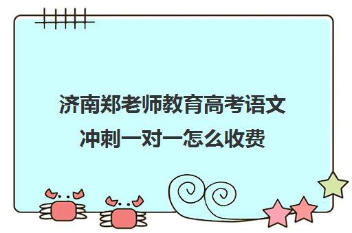 济南郑老师教育高考语文冲刺一对一怎么收费（济南一对一辅导机构哪家好）