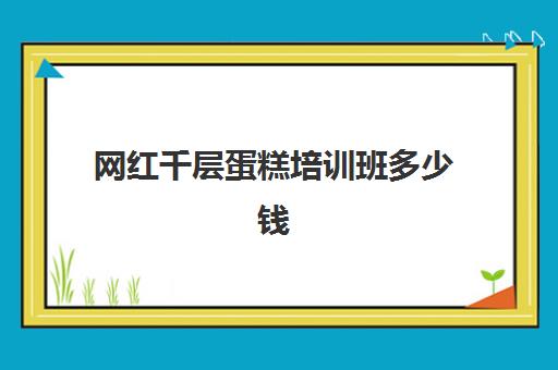 网红千层蛋糕培训班多少钱（网红千层蛋糕多少钱一个）