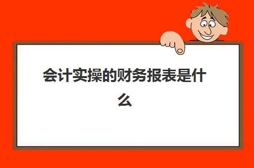 会计实操的财务报表是什么(年度财务报表)