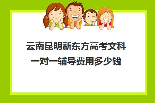 云南昆明新东方高考文科一对一辅导费用多少钱（昆明一对一辅导机构哪家好）