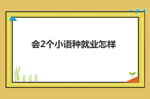 会2个小语种就业怎样(小语种专业前景好吗)