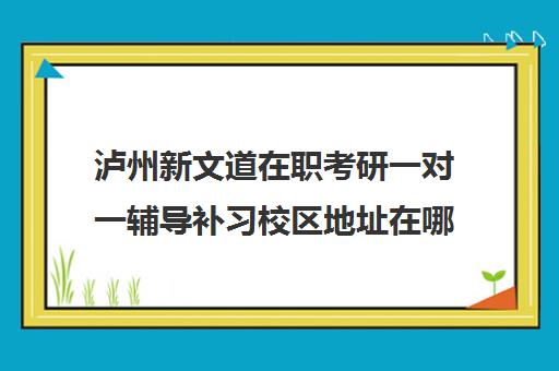 泸州新文道在职考研一对一辅导补习校区地址在哪