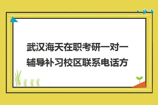 武汉海天在职考研一对一辅导补习校区联系电话方式