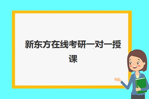 新东方在线考研一对一授课(新东方考研英语一对一)