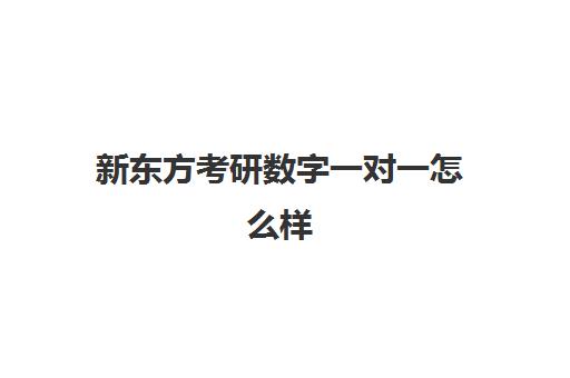 新东方考研数字一对一怎么样(新东方考研全程班不靠谱)