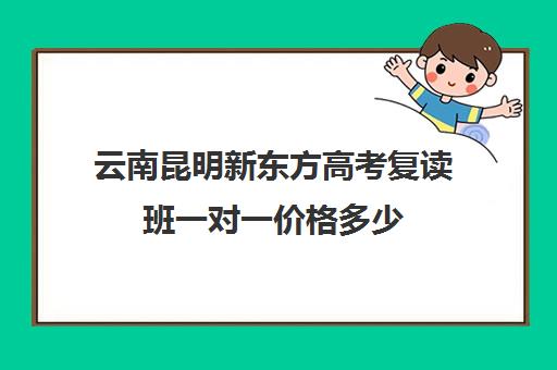 云南昆明新东方高考复读班一对一价格多少（新东方高考复读班价格）