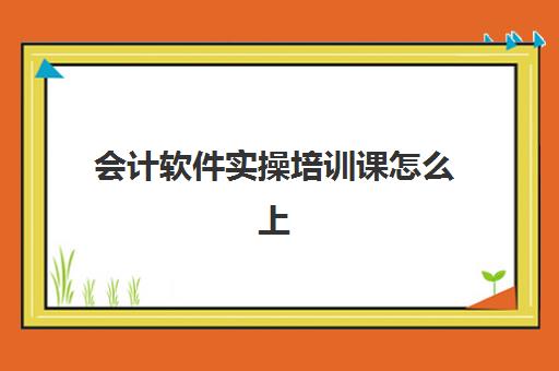 会计软件实操培训课怎么上(会计培训网上授课)