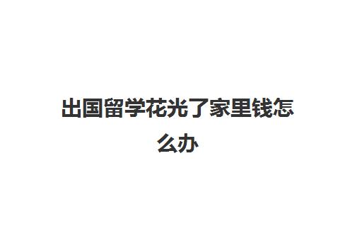 出国留学花光了家里钱怎么办(普通家庭花那么多钱留学值得吗)