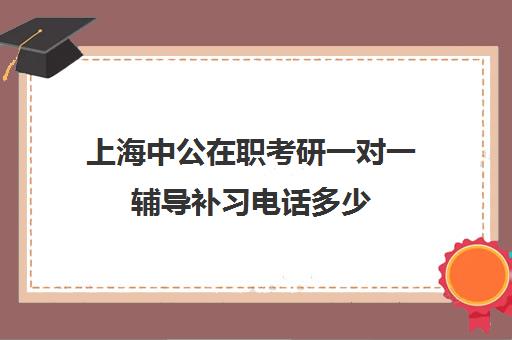 上海中公在职考研一对一辅导补习电话多少