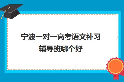 宁波一对一高考语文补习辅导班哪个好