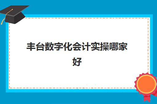 丰台数字化会计实操哪家好(北京会计公司排名)