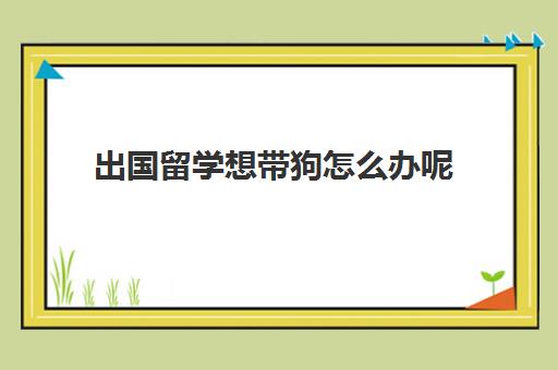 出国留学想带狗怎么办呢(宠物出国需要什么手续)