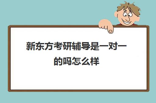 新东方考研辅导是一对一的吗怎么样(新东方考研一对一辅导)