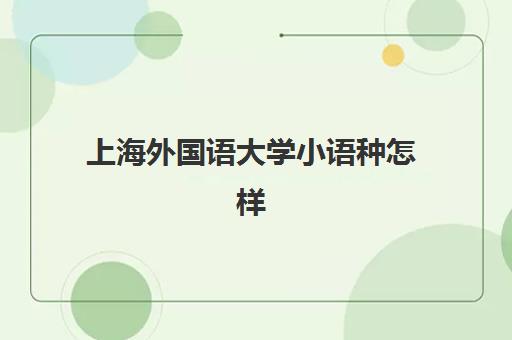 上海外国语大学小语种怎样(上海外国语大学语言学及应用语言学)