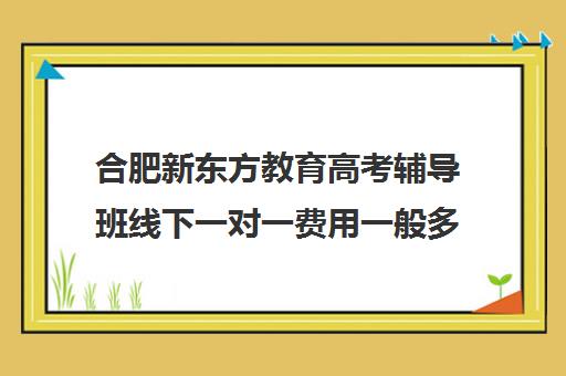 合肥新东方教育高考辅导班线下一对一费用一般多少钱（新东方高考培训多少钱）