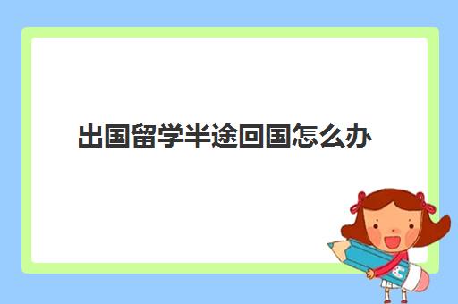 出国留学半途回国怎么办(留学期间可以回国吗)